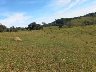 Excelente fazenda com 10.5 alqueires em Cunha-SP