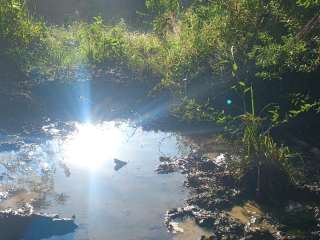 Excelente fazenda com 10.5 alqueires em Cunha-SP