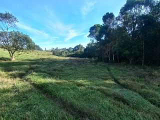 Excelente fazenda com 10.5 alqueires em Cunha-SP