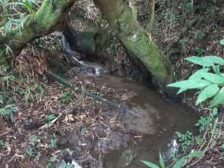 Excelente fazenda com 10.5 alqueires em Cunha-SP