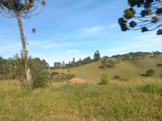 Excelente fazenda com 10.5 alqueires em Cunha-SP