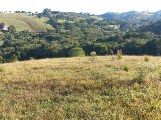 Excelentes glebas de 30 mil m2 em Cunha SP