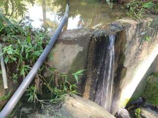 Fazenda